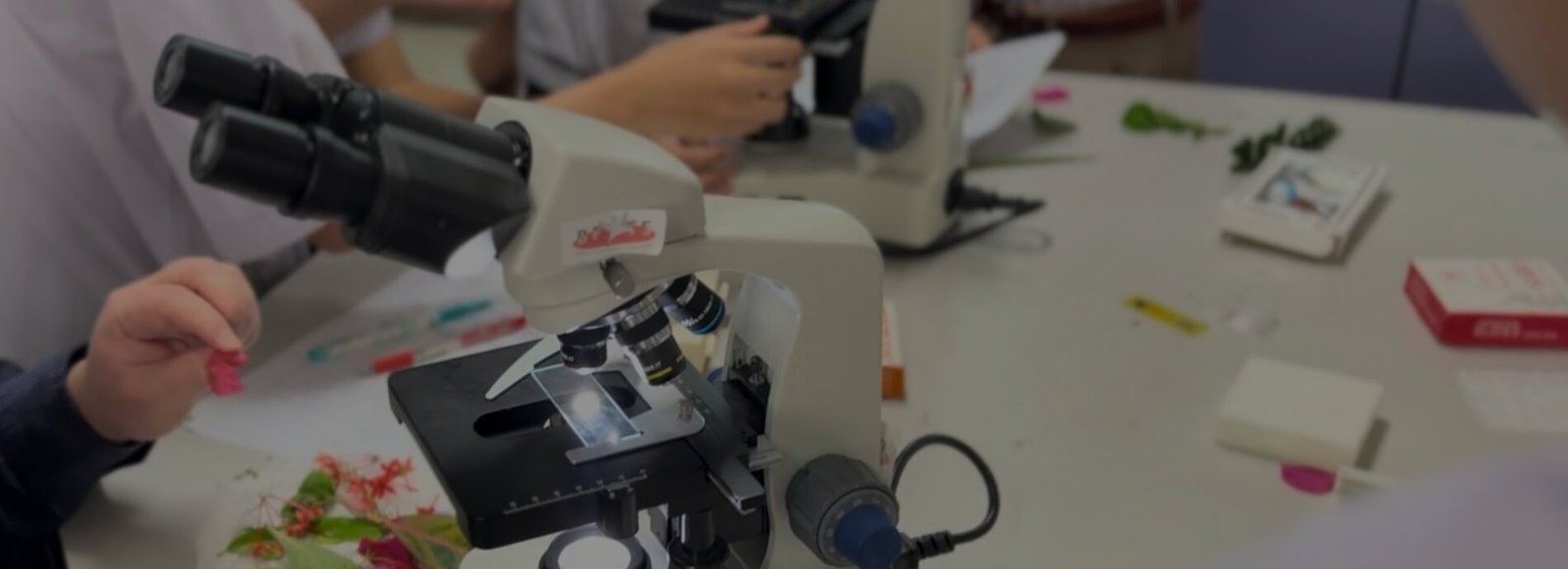 Be Like Eing_Discover Life Beyond Grades with the BFITS Educators of SPR